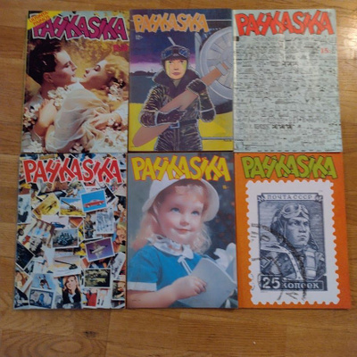 10 kpl Pahkasika
