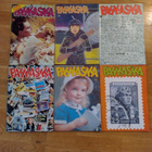 10 kpl Pahkasika - pikkukuva 1