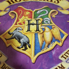 Harry Potter Hogwarts juliste, poster - pikkukuva 1