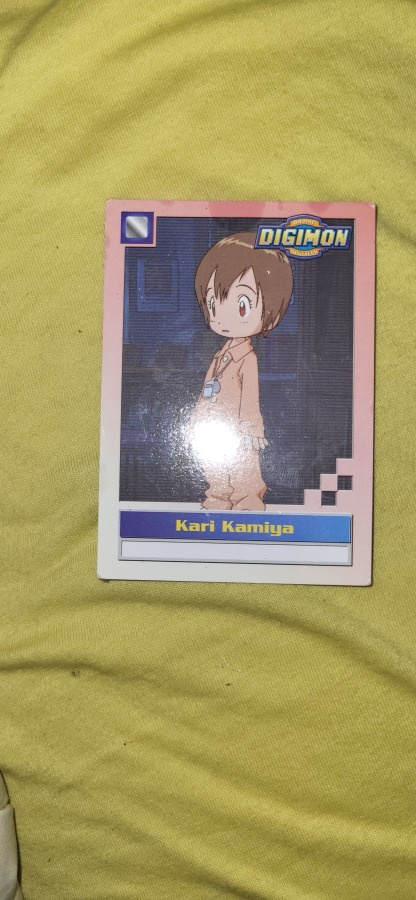 Kari Kamiya digimon animated series 3 of 32