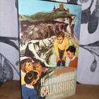 Enid Blyton - 4x Salaisuus - Tammi - pikkukuva 3