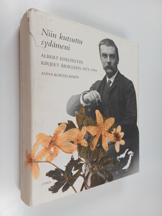 Albert Edelfelt : Niin kutsuttu sydämeni : Albert Edelfel...