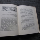 METSÄSTÄJÄN VALTAKUNNASSA - e.e. tumpo ( 1,p v 1934 ) - pikkukuva 4