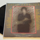 David Sanborn – Taking Off (LP) - pikkukuva 2