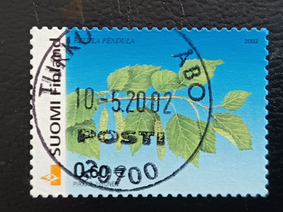 -02 Koivu. Lo