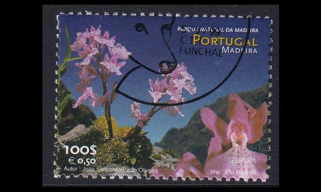 Madeira 197 o Europa luonnonpuistot (1999)