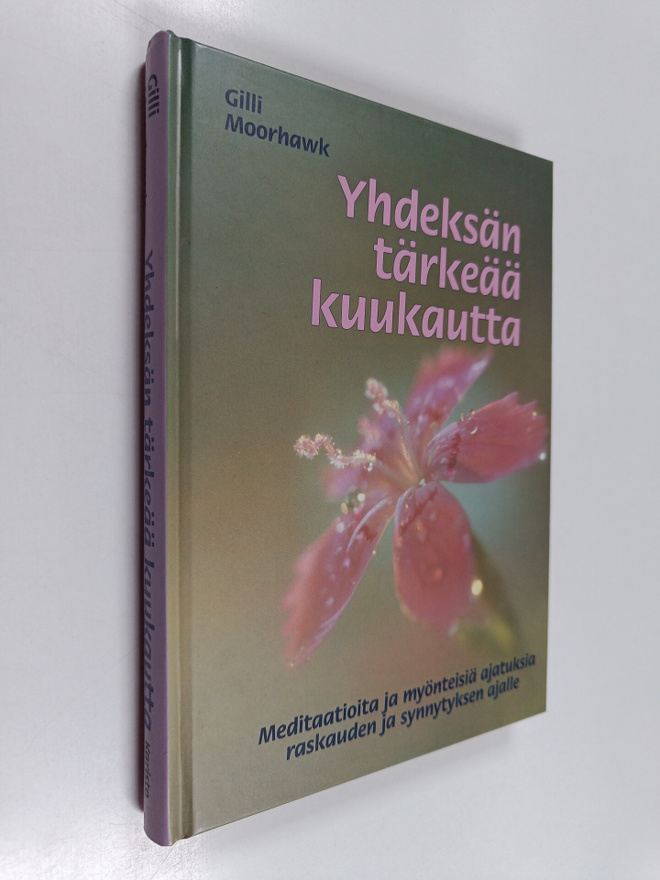 Gilli Moorhawk : Yhdeksän tärkeää kuukautta : meditaatiot...