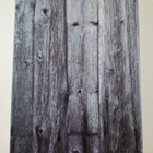 Helena Honka-Hallila : Ylöjärvi 1869-1994 - pikkukuva 2