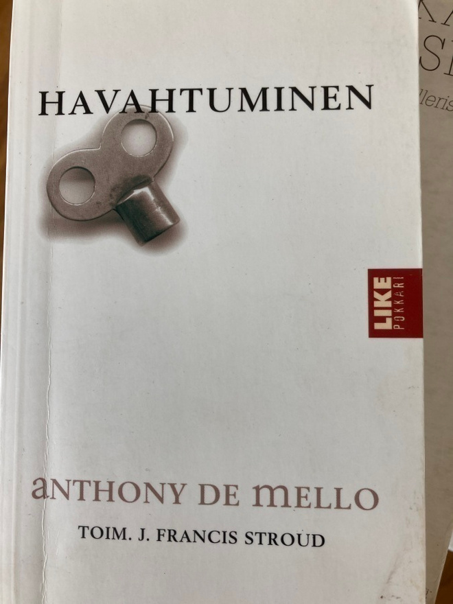 MELLO: HAVAHTUMINEN