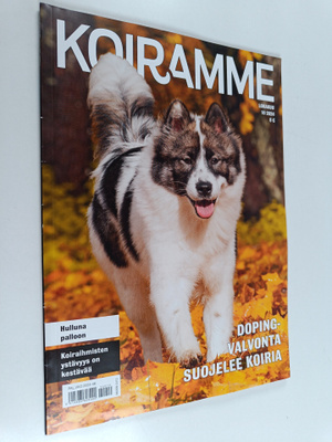 Koiramme 10/2024