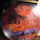 CHILDREN OF BODOM:SOMETHING WILD  KUVA LP - pikkukuva 3