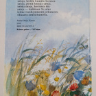 Marjatta Kurenniemi : Pilvipaimen - pikkukuva 2