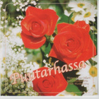 cd, Marja-Liisa Oikari - Puutarhassa [hengellinen] - pikkukuva 1