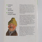 Arto Paasilinna : Vaellustarinat : Jäniksen vuosi ; Isois... - pikkukuva 2