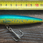 Rapala magnum! - pikkukuva 1