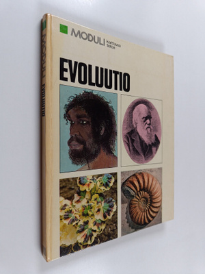 Irma Rostedt : Evoluutio