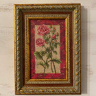 Rose Splendor ristipistotaulu - pikkukuva 1