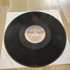 AMITYVILLE HORROR Soundtrack -LP - pikkukuva 3