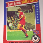 PELAAJAKORTTI JALKAPALLO GREAT BRITAIN EMLYN HUGHES 195 - pikkukuva 1