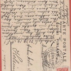 Sikaa viedään teuraaksi - kulk v 1914 - pikkukuva 2