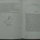 Peukaloisen retket villihanhien seurassa - Selma Lagerlöf - pikkukuva 2