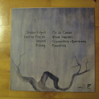ARCTIC FLOWERS - REVERIES  lp - pikkukuva 2