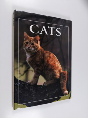 Angela Rixon : Cats