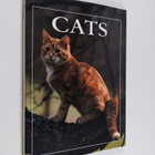 Angela Rixon : Cats - pikkukuva 1