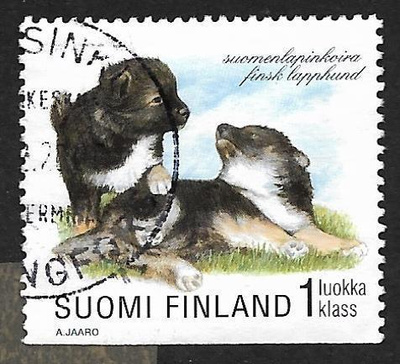 Koiranpentuja 1998 (LAPE 1434) O