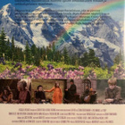 Heidi  -  DVD - pikkukuva 2