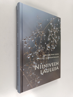 Kirsi Lehto : Niiniveen lauluja