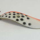 Kuusamo taimen 7,5cm - pikkukuva 1