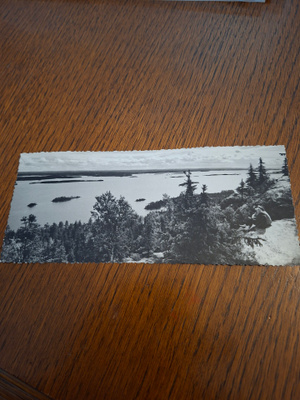 12 Koli Pitkä kortti