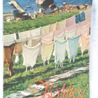 Kotiliesi No 11 kesäkuu 1950 - pikkukuva 1