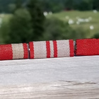 CCCR - Ripa. Ehjä lukitus. Pituus - 76 mm. - pikkukuva 2