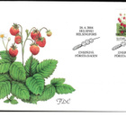 kortti ** FDC Marja - erilaisia ensipäiväkuoria - pikkukuva 4