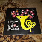 Boston Promenade Lähtisitkö (CD) -40% - pikkukuva 1
