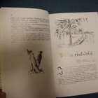 Samuli Paulaharju: Rintakyliä ja Larvamaita (4p.2001) Sis.pk - pikkukuva 3