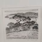 Inari Krohn; Japanilaistyylinen Saaristomänty - pikkukuva 2