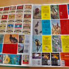 VANHOJA TuliTikkuetikettejä n. 300-350 kpl - pikkukuva 5