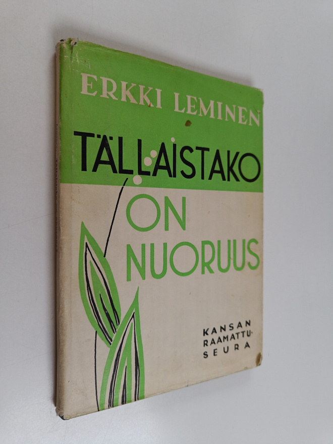 Erkki Leminen : Tällaistako on nuoruus
