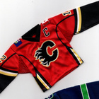 Jarome Iginla Calgary 07-08 Upper Deck Mini Jersey - pikkukuva 1