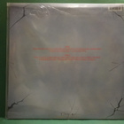 MORBID ANGEL - ABOMINATIONS OF DESOLATION EX+/EX LP - pikkukuva 2