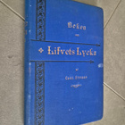 Boken om lifvets lycka (v. 1890) - pikkukuva 1