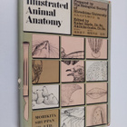 Illustrated Animal Anatomy - prepared by The Biological S... - pikkukuva 1