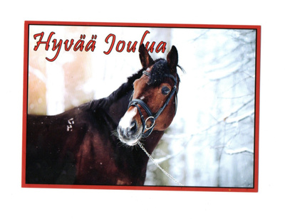 Hevonen...°°HYVÄÄ JOULUA°° - KORTTI /Anki