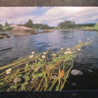 KULKEMATON JÄRVISÄTKIN KIIMINKIJOKI YLI-KIIMINKI OULUNSEUTU - pikkukuva 1