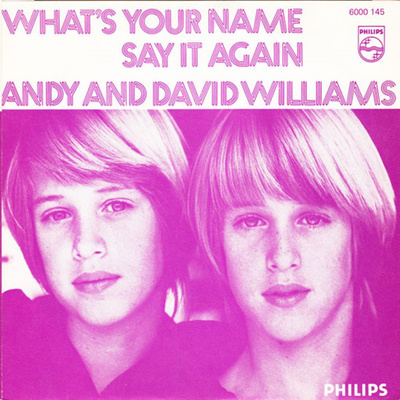 ANDY & DAVID WILLIAMS: What's Your Name / Say It Again  7"