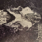 Förgjord / Musta Kappeli – Split (12”, Vinyl) - pikkukuva 1