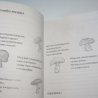 Tammen kultainen lukemisto - pikkukuva 4